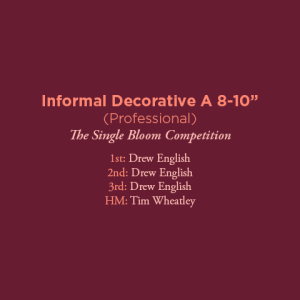 Informal Decorative A 8 Professional
